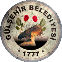 Logo Gülşehir Belediyesi Gençlik ve Spor