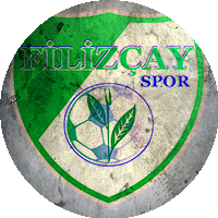 Logo Filizçayspor