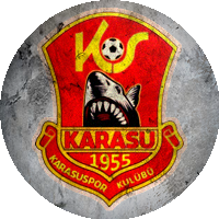Logo Karasuspor