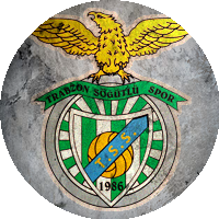 Logo Söğütlüspor