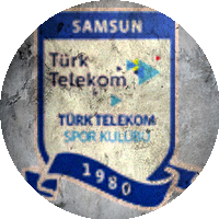 Logo Samsun Telekomspor