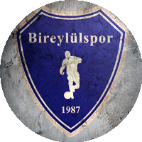 Logo Bireylül Spor