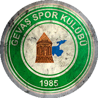Logo Gevaşspor
