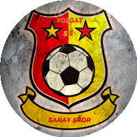 Logo Yozgat Sarayspor