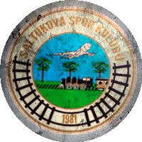 Logo Saltukovaspor