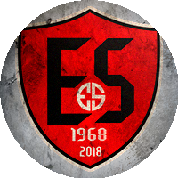 Logo Erzincan 1968 Spor