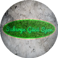 Logo Sakaryagücü Spor