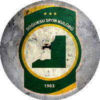 Logo Merkezefendispor