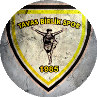 Logo Tavas Birlikspor
