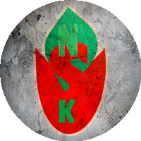 Logo Nurtepe Spor