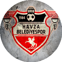 Logo Havza Belediyespor