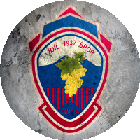 Logo İdil 1937 Spor