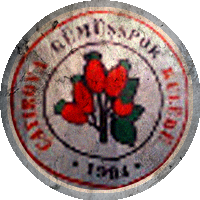 Logo Çayırova Yeni Mahalle Gümüşspor