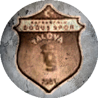 Logo Safranyolu Doğuşspor