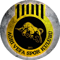Logo Ağrı Vefa Spor