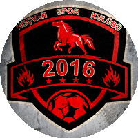Logo Hoçvan Spor