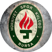 Logo Hürriyetspor