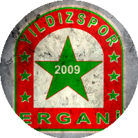 Logo Ergani Yıldızspor