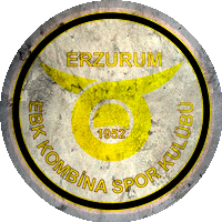 Logo Kombinaspor