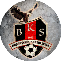 Logo Başakşehir Kartal Spor