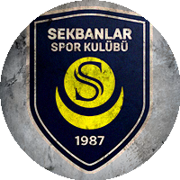 Logo İstanbul Anadolu Spor Kulübü