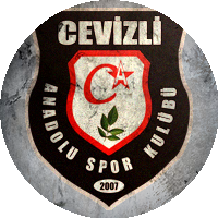 Logo Cevizli Anadolu Spor