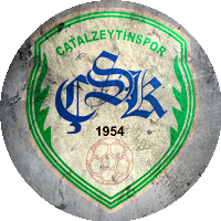 Logo Çatalzeytin Spor