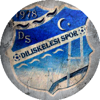 Logo Diliskelesispor