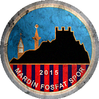 Logo Mardin 1969 Spor