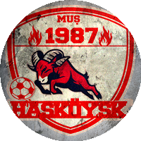Logo Hasköyspor