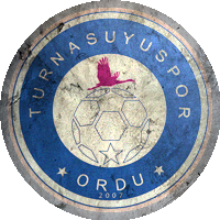 Logo Gülyalı Turnasuyu Spor