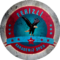 Logo Ferizli Spor 2011