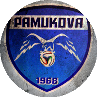 Logo Pamukovaspor
