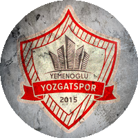 Logo Şefaatli Spor