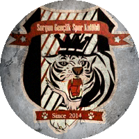 Logo Sorgun Gençlik ve Spor