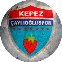 Logo Karadeniz Ereğli Çiğdemli Spor