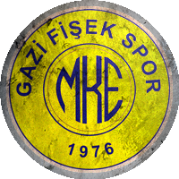 Logo Gazi Fişekspor