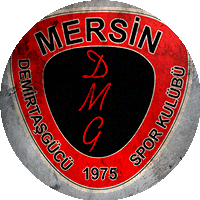 Logo Demirtaşgücüspor