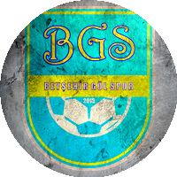 Logo Beyşehir Göl Spor