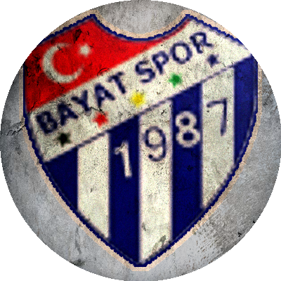 Logo Afyon Bayat Spor