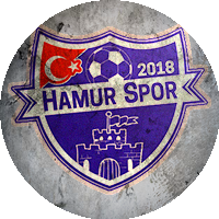 Logo Hamur Spor