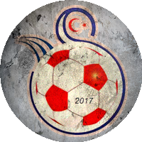Logo Suluova Sebat Spor