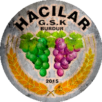 Logo Hacılar Gençlik ve Spor