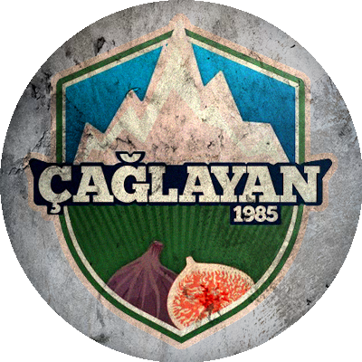 Logo Çağlayan Spor