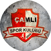 Logo Düzce Çamlı Gençlik ve Spor