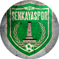 Logo Şenkayaspor