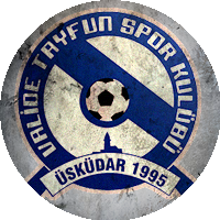 Logo Valide Tayfunspor