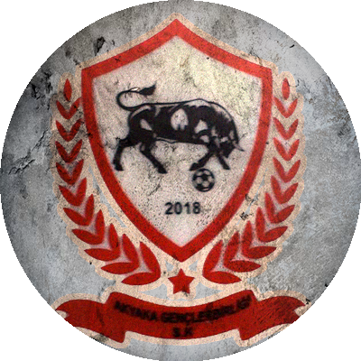 Logo Akyaka Gençlerbirliği Spor