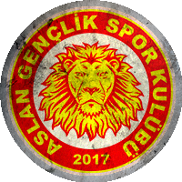 Logo Aslan Gençlik Spor