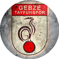 Logo Gebze Tayfun Spor